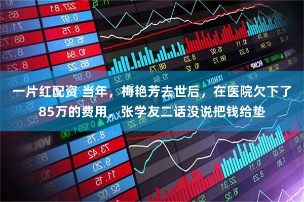 一片红配资 当年，梅艳芳去世后，在医院欠下了85万的费用，张学友二话没说把钱给垫