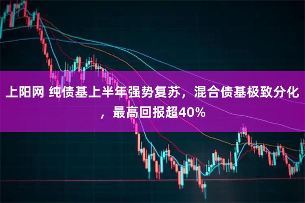 上阳网 纯债基上半年强势复苏，混合债基极致分化，最高回报超40%